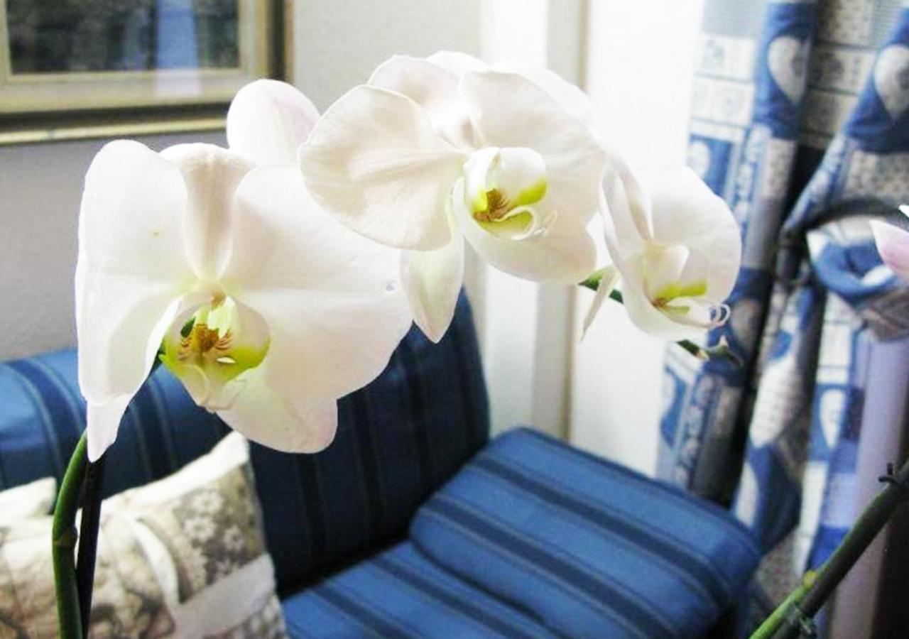 Hotel Bucaneve Pre-Saint-Didier Ngoại thất bức ảnh